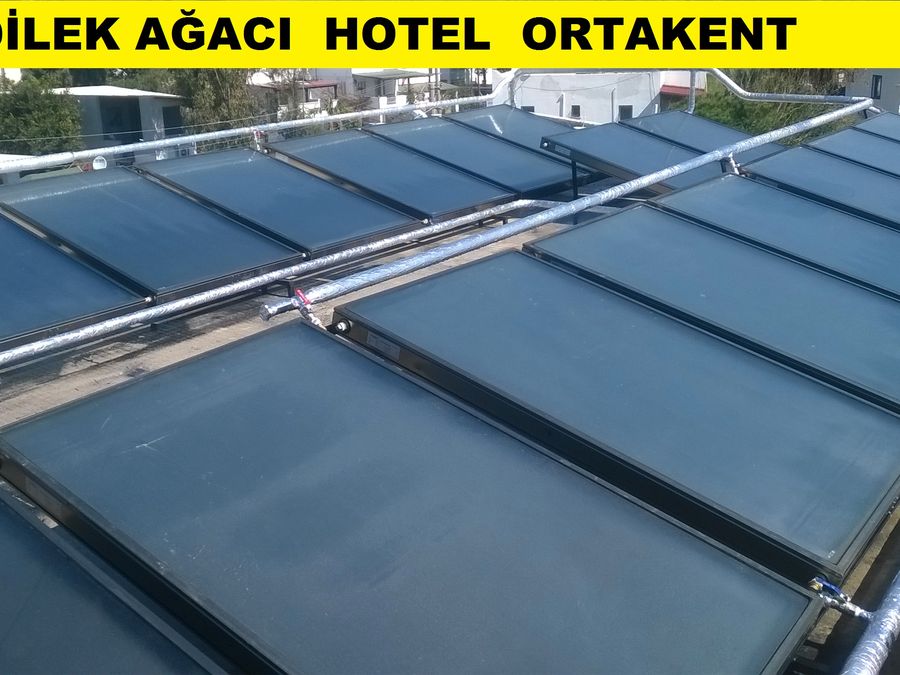 Dilekağacı Hotel Ortakent