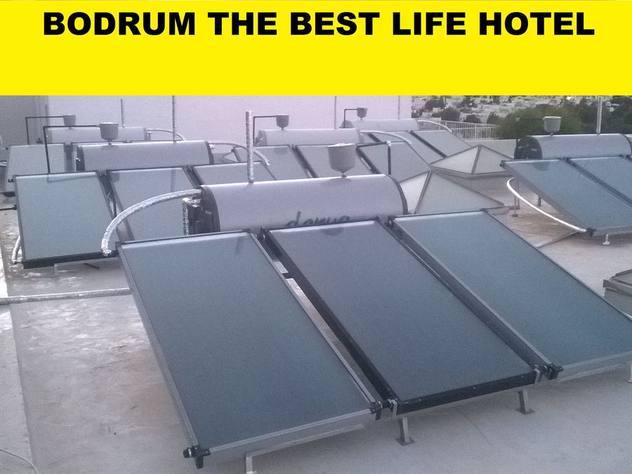 The Best Life Hotel